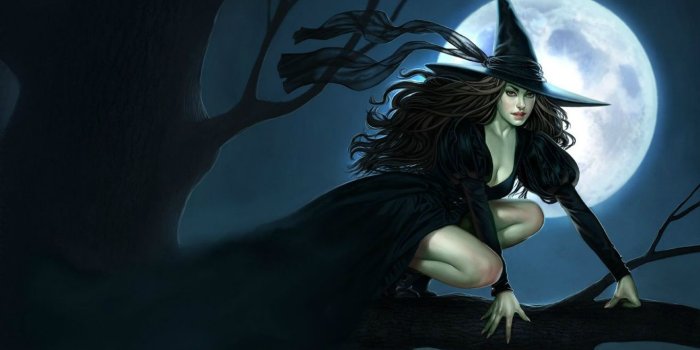1313x800 Enchanting Black Witch Wallpaper