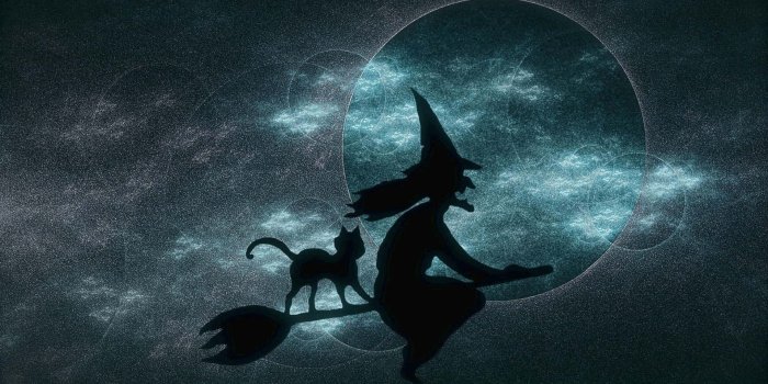 1920x1159 100+] Witches Broom Wallpapers