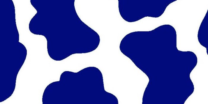 1080x1920 Download free Dark Blue Cow Print