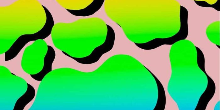 1344x1920 Download Cow Print Wallpapers for FREE