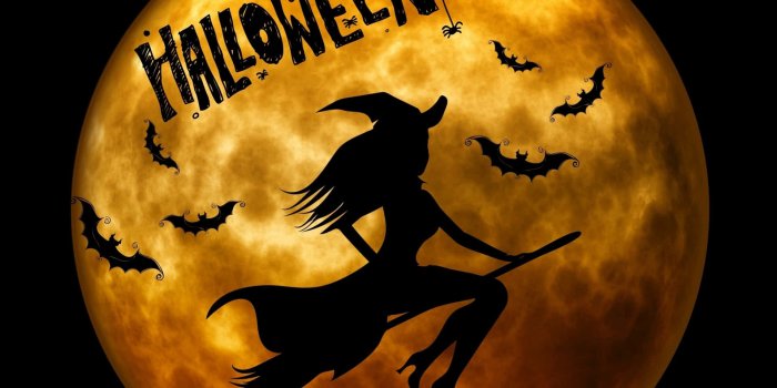 1920x1165 100+] Halloween Witch Wallpapers