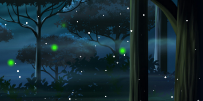 800x1280 Firefly Forest Pro Live Wallpaper - App