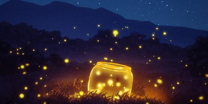 1920x1439 HD wallpaper: Anime, Original, Firefly