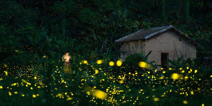 1500x1000 Wall Mural Photo Wallpaper A Little