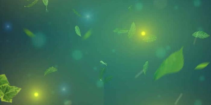 800x1546 Dazzling Natural Fireflies Wallpaper