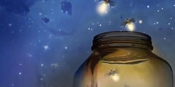 1125x2436 firefly iPhone Wallpapers Free Download