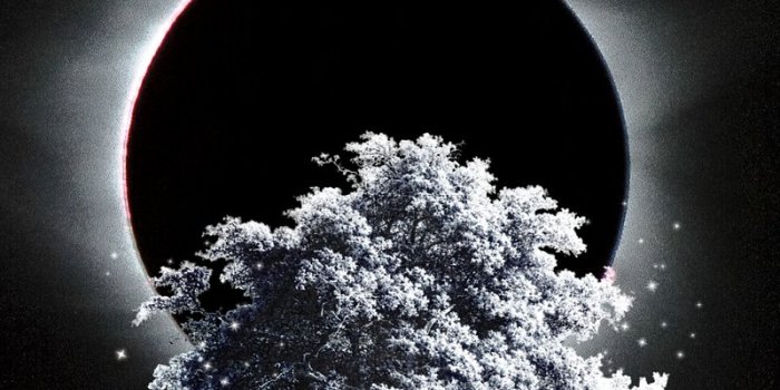 800x1422 Inspirational Quote iPhone Wallpapers