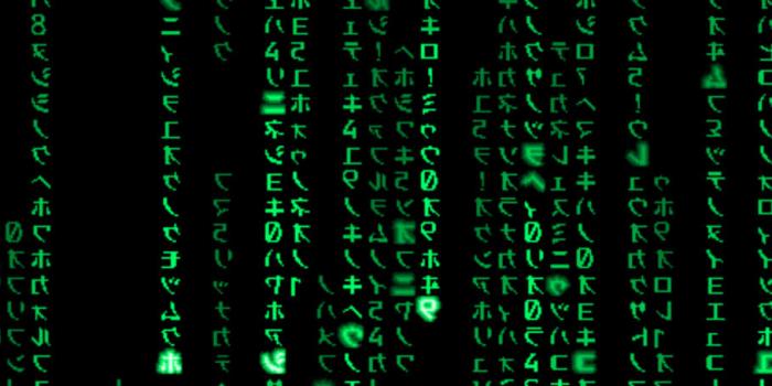 909x1920 Matrix Code Wallpaper Hd Wallpaper