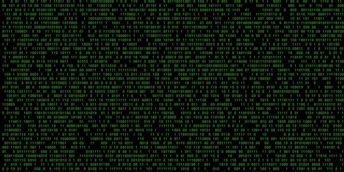 1280x720 100+] Matrix Wallpapers | Wallpapers.com