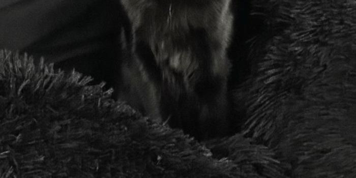 1179x2556 Here's a ultra wallpaper : r/DestroyLonely