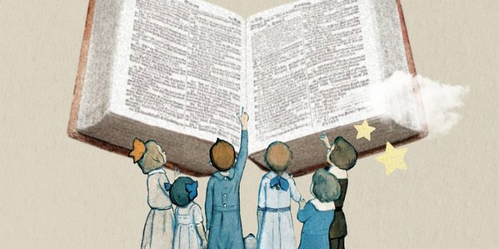 800x1422 Wallpaper Student Images | Free Photos