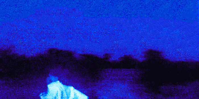 1284x2778 Album Cover iPhone Wallpaper 4K