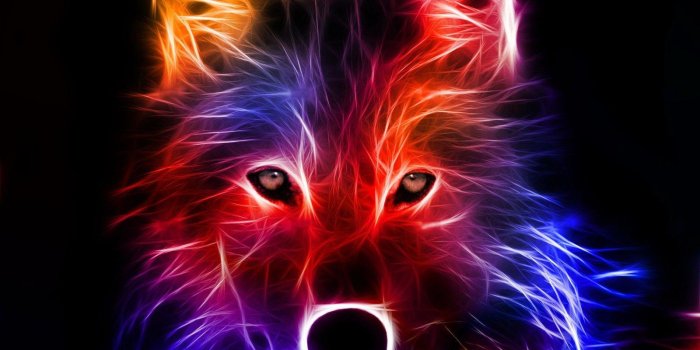 1600x1174 Cool Things Wallpapers