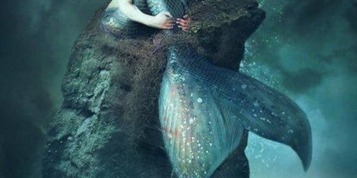 915x1626 Siren Mermaid Wallpapers