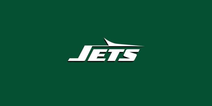1024x1024 New York Jets Logo Plain Wallpaper