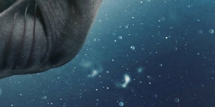 1280x2120 1280x2120 Siren Tv Series iPhone 6+ ,HD