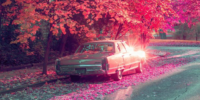 3840x2561 Vintage Car Parked Under Tree Covered