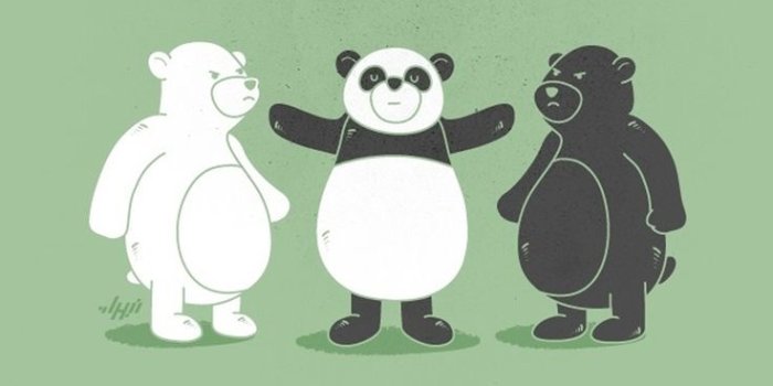 736x1308 Cute and Funny Cartoon Wallpapers