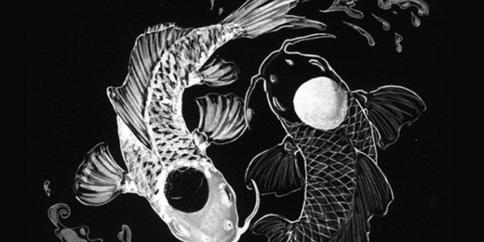 736x1309 Yin Yang Koi Fish