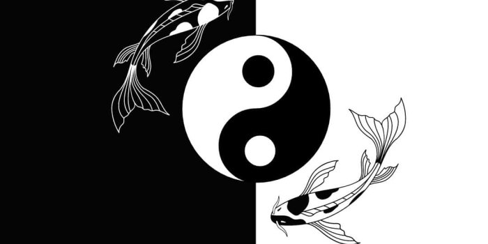 1080x1920 Download Yin Yang Fish Harmonizing Life