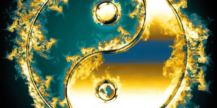 768x1280 Download Free Mobile Phone Wallpaper