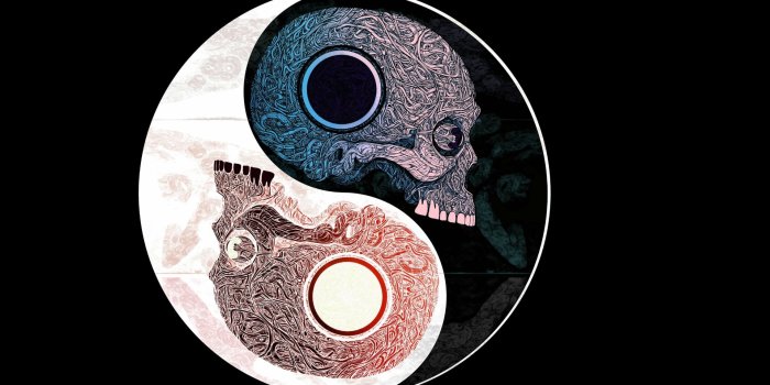 1920x1200 Download Yin & Yang Dark Skull HD Wallpaper