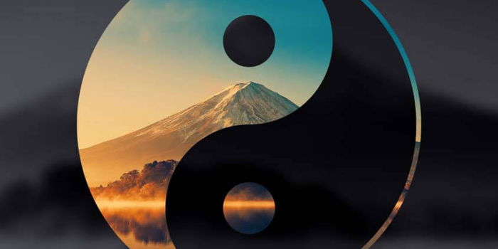 844x1500 Yin Yang iPhone Wallpaper HD