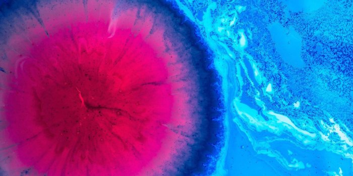 2000x1333 Chapterhouse | PopMatters