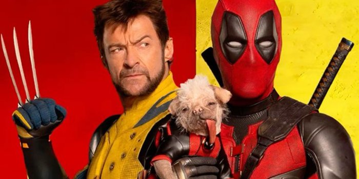 736x1308 Wolverine Empire Cover Wallpaper