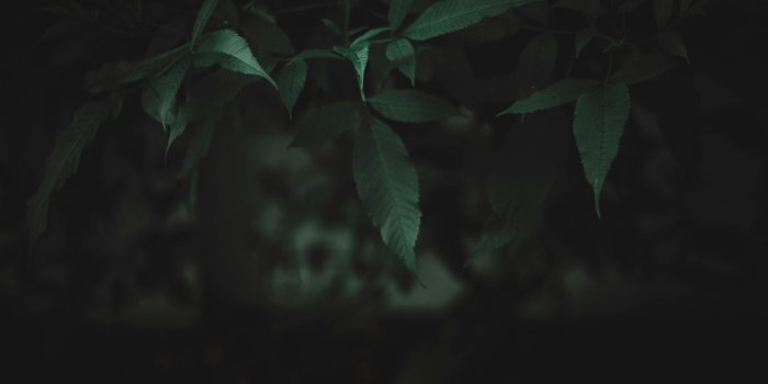 5184x3456 Dark Nature Photos, Download The BEST