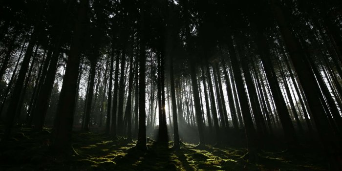 1920x1080 100+] Dark Nature Wallpapers