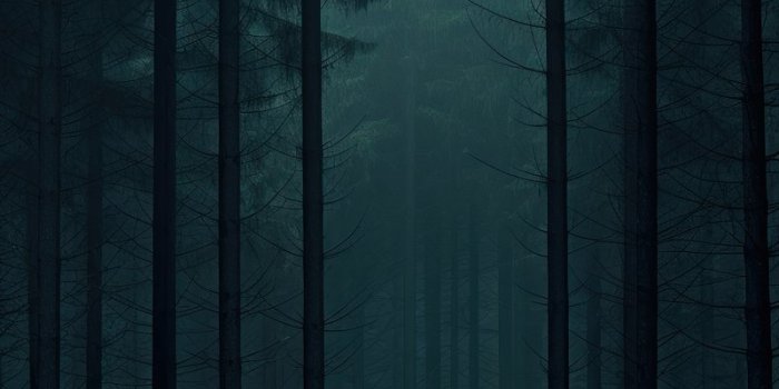 800x1427 Dark Wallpaper | Free Beautiful HD