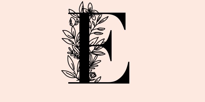 2048x2048 letra E, letter E, calligraphy, modern