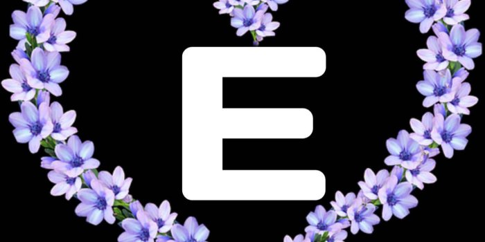 1280x1209 100+] Letter E Wallpapers | Wallpapers.com