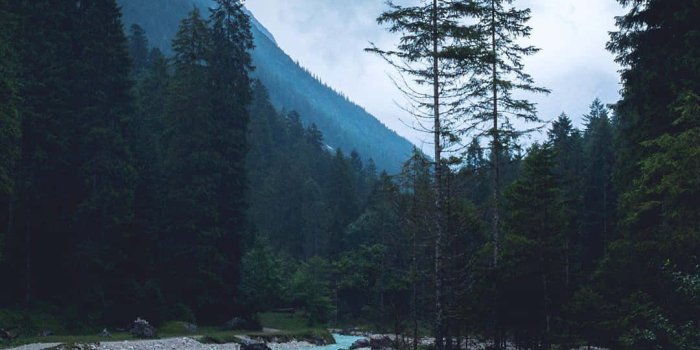 1080x1920 Dark Nature Backgrounds | Wallpapers