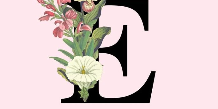 736x1308 Pink Letter E Wallpapers