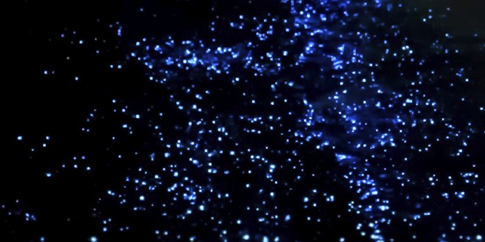 1125x2436 mq19-ocean-night-dark-blink-beautiful