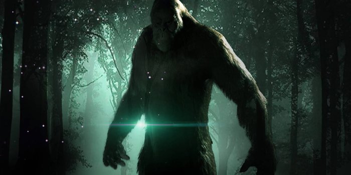 1920x1080 100+] Bigfoot Wallpapers | Wallpapers.com