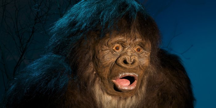 1920x1080 Download Fantasy Bigfoot HD Wallpaper