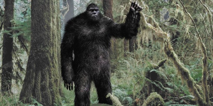 1920x1080 Regarding Bigfoot | Shadow Squadron