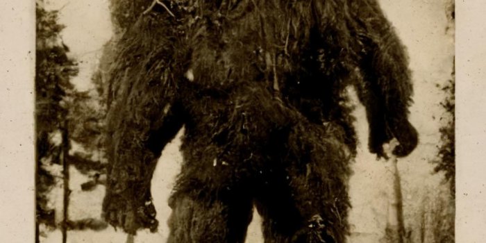 1024x2048 Sasquatch : r/iphonewallpapers
