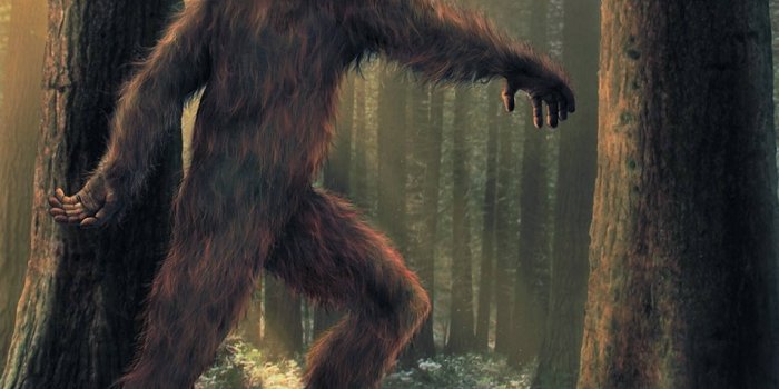 1147x1380 Download A Bigfoot Walking Through The