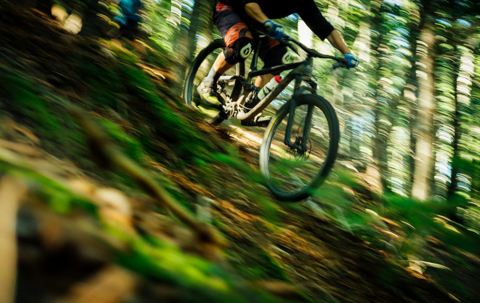 3000x1897 200+ Mountain Bike Pictures | Download