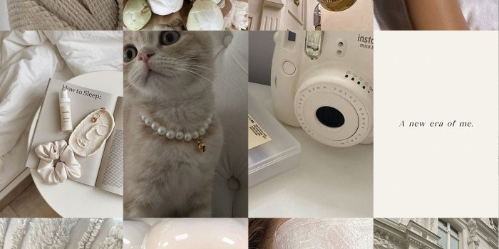 1435x1616 54 PCS Vanilla Girl Aesthetic Photo