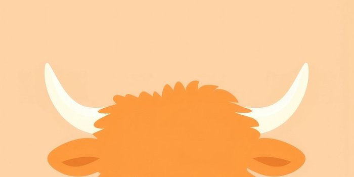 800x1427 Highland Cow Images | Free Photos, PNG
