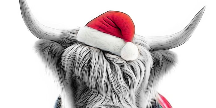 867x1300 highland cow with christmas clothes