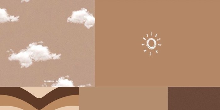 736x1104 Aesthetic Brown iPhone Wallpapers