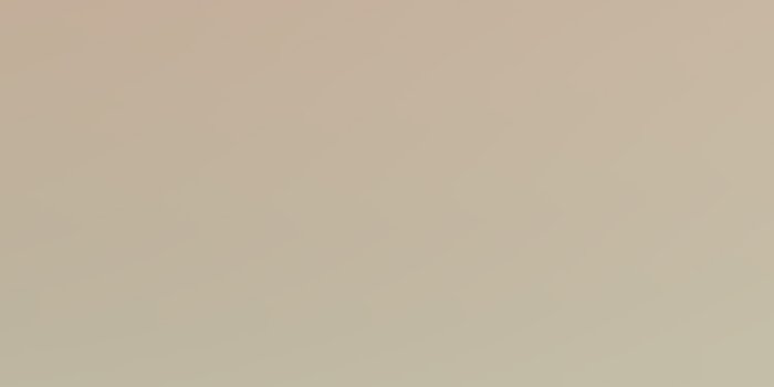 750x1334 sj69-moody-light-bright-happy-brown