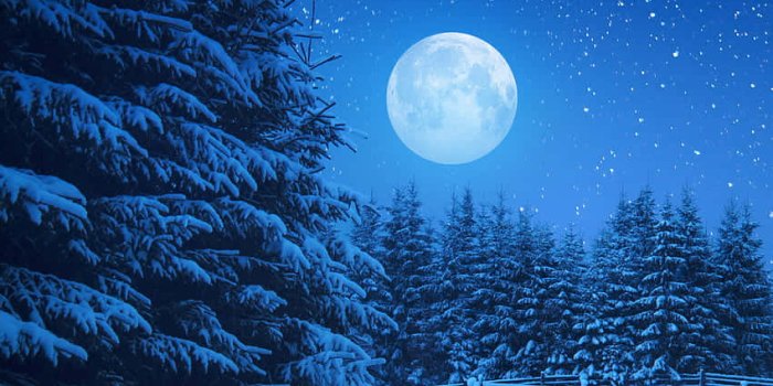 850x1509 Nighttime Scene with a Full Moon