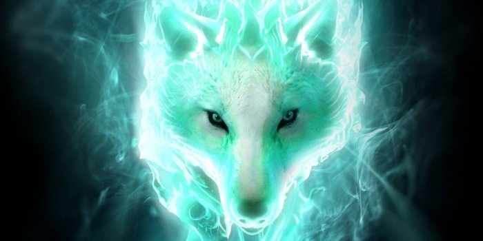 1920x1200 Glowing Wolf Wild Animal Wallpaper